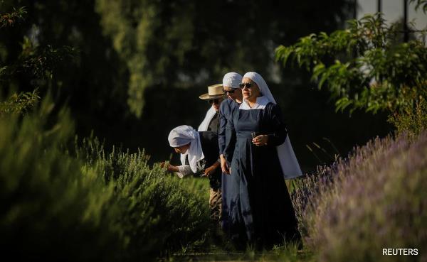 Mexico's 'Weed Nuns' Launch Movement To Take Marijuana Back From Narcos