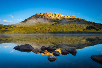 十大最好养的室内植物