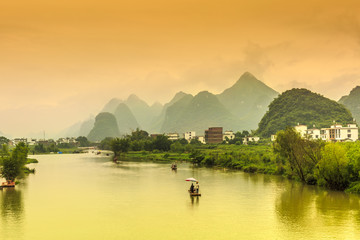 十大最好养的室内植物