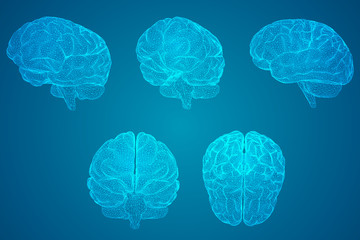 人生各个年龄段的叫法