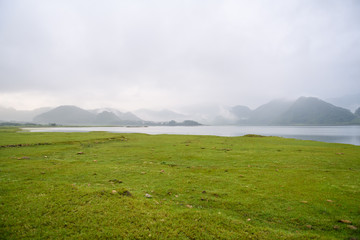 怎样制作生物标本