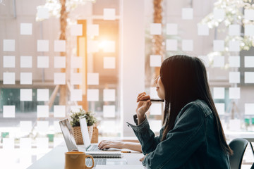 今天你能让我认识一种植物吗？