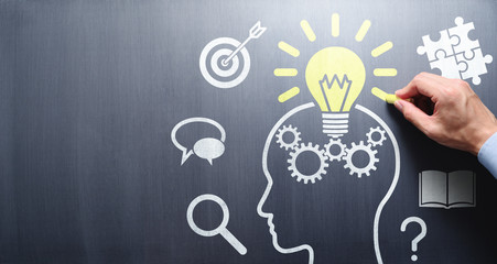 十大最好养的室内植物