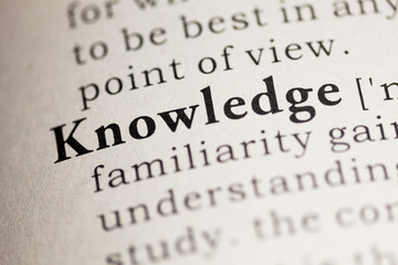 十大最好养的室内植物