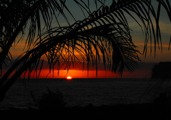 世博会有那些展馆