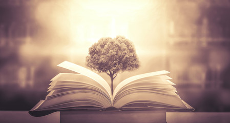 冷库可以做什么生意？