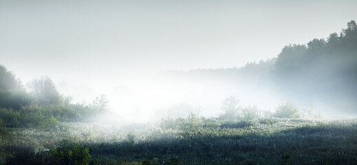 十大最好养的室内植物