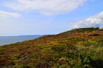 绵阳考试中心电话号码