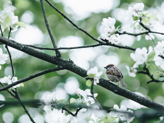 高一语文考试时阅读题答题步骤