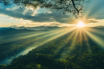 十大最好养的室内植物