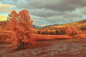 人生各个年龄段的叫法