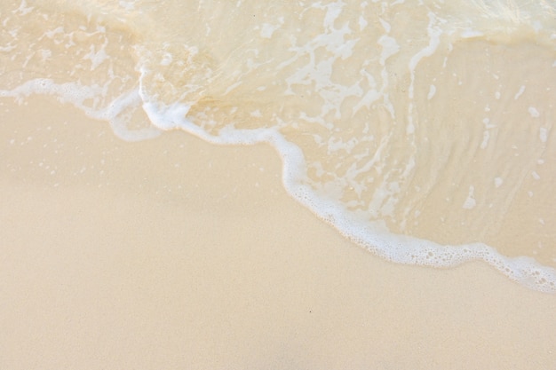 世博会有那些展馆