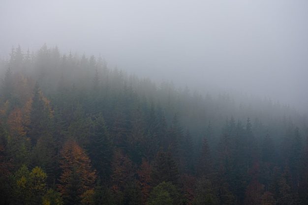 有关将心比心的名人事例