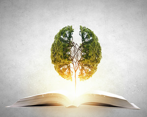 今天你能让我认识一种植物吗？