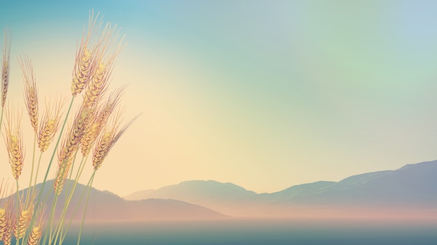 龙岗东珠学校学费多少