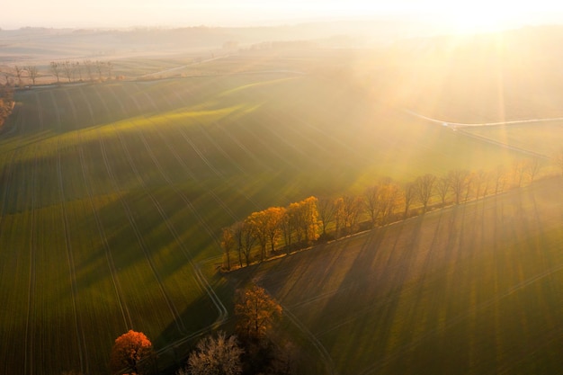 网络营销有哪几种方法？