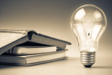 今天你能让我认识一种植物吗？