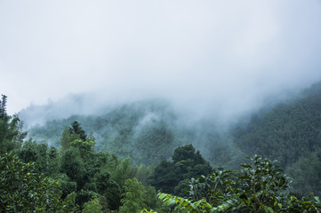 怎样制作生物标本